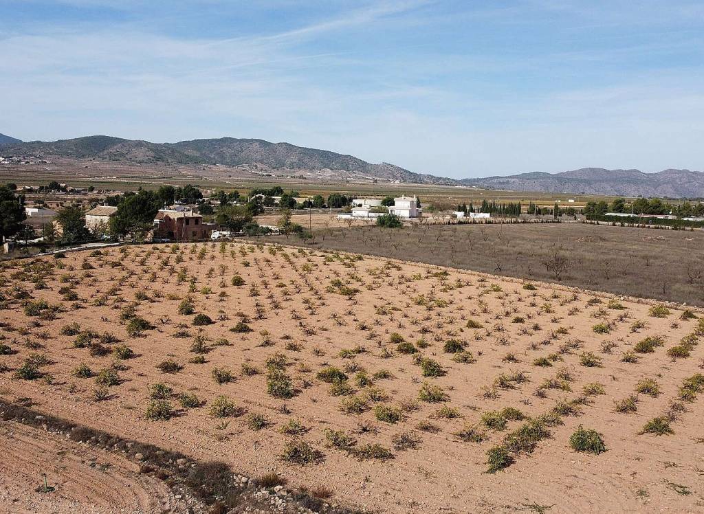 Resale - Land - Pinoso