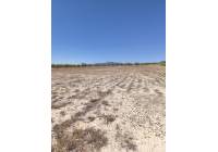 Resale - Land - Pinoso