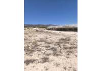 Resale - Land - Pinoso