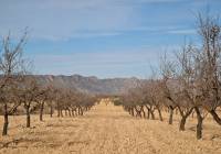 Resale - Land - Raspay - Edge of town