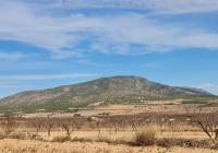 Resale - Land - Raspay - Edge of town