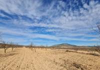 Resale - Land - Raspay - Edge of town