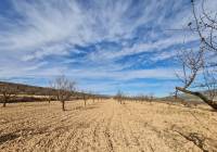 Resale - Land - Raspay - Edge of town