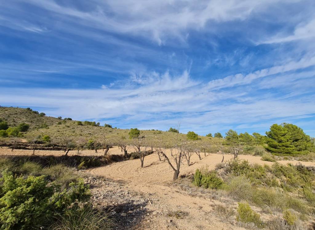 Resale - Land - Raspay - Rural location