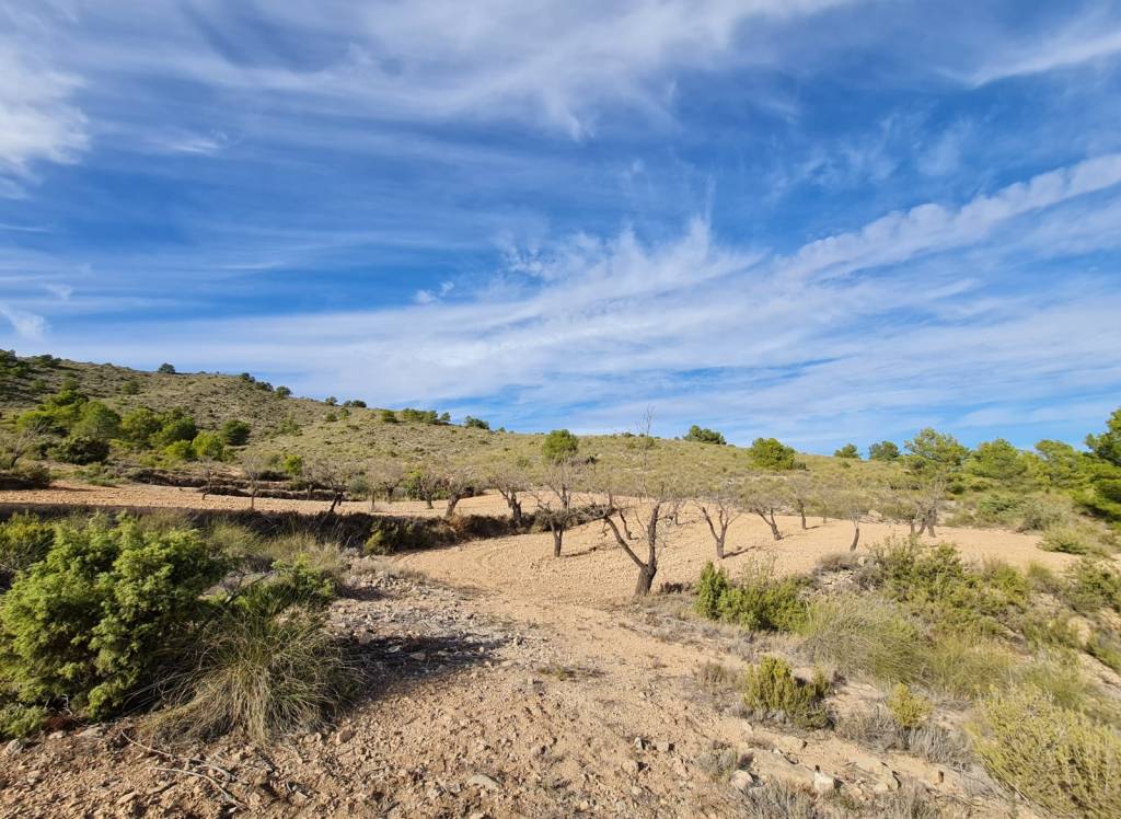 Resale - Land - Raspay - Rural location