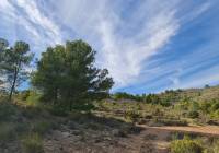 Resale - Land - Raspay - Rural location