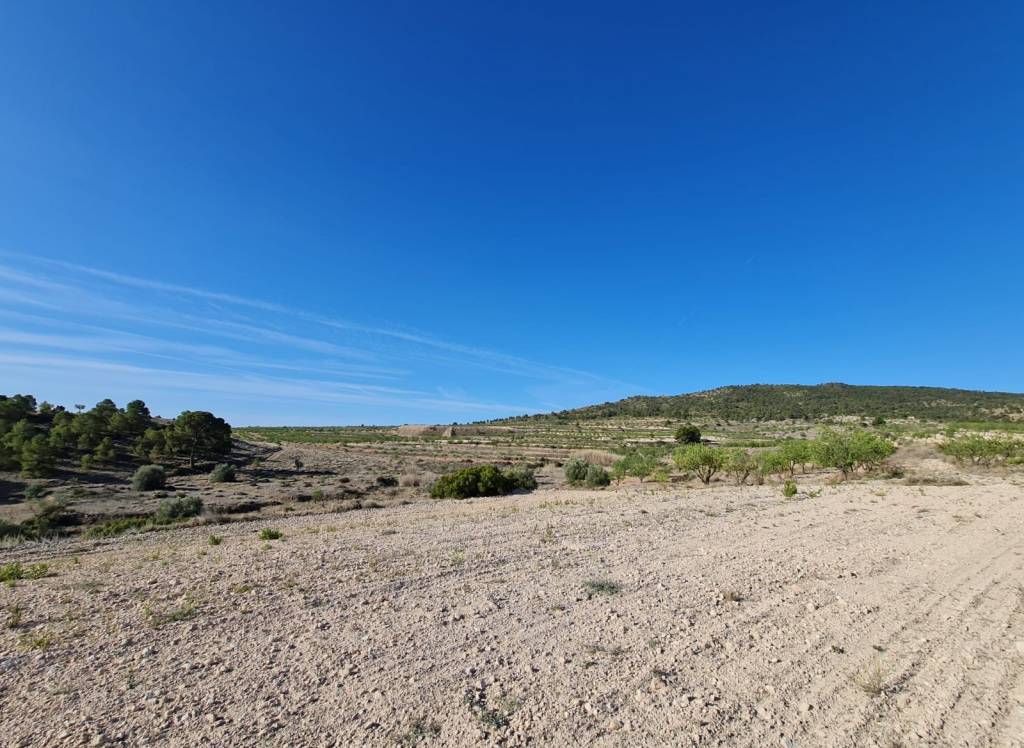 Resale - Land - Raspay - Rural location