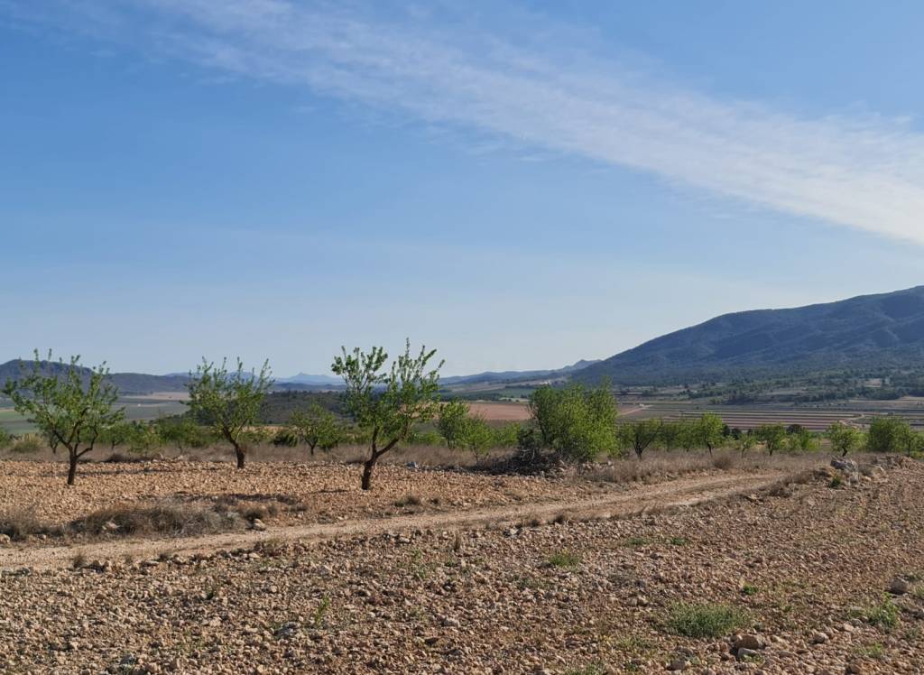 Resale - Land - Raspay - Rural location