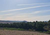 Resale - Land - Raspay - Rural location