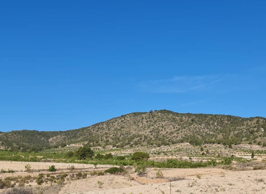 Resale - Land - Raspay - Rural location