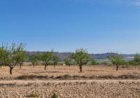 Resale - Land - Raspay - Rural location