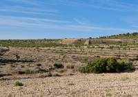 Resale - Land - Raspay - Rural location