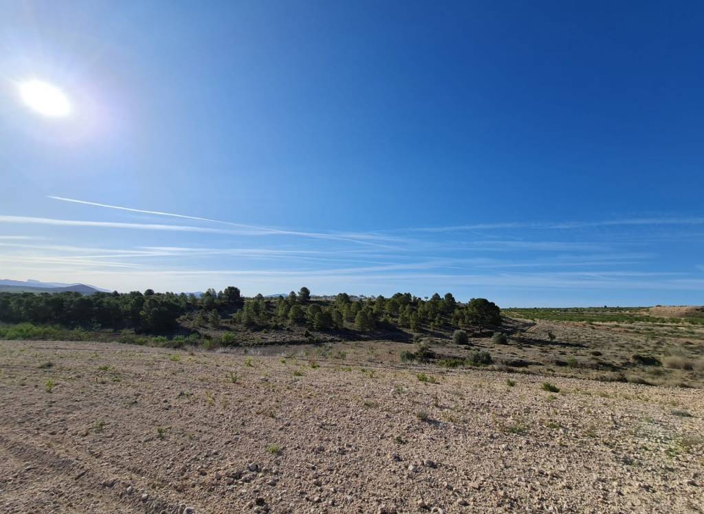 Resale - Land - Raspay - Rural location