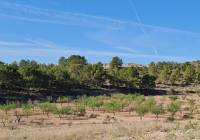 Resale - Land - Raspay - Rural location