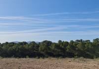 Resale - Land - Raspay - Rural location