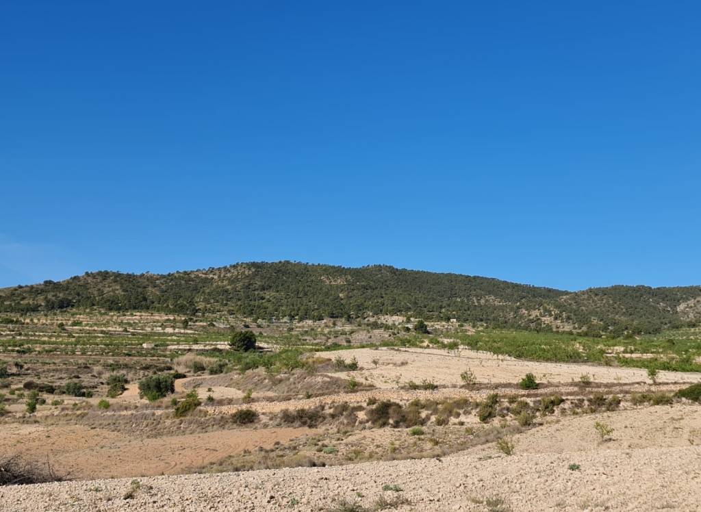 Resale - Land - Raspay - Rural location