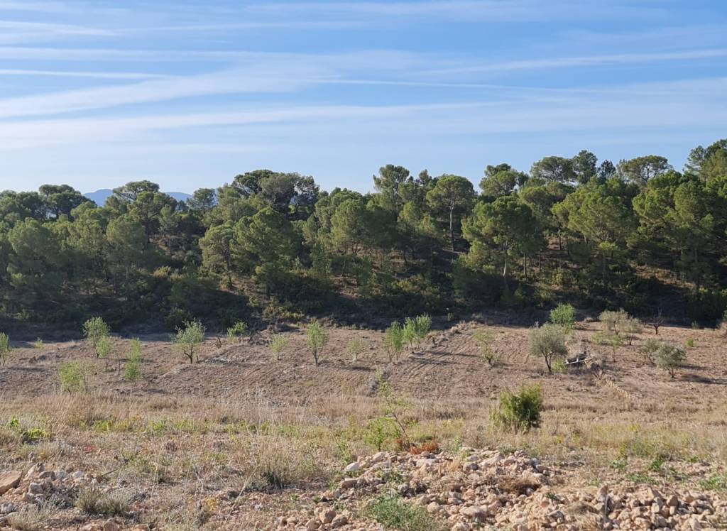 Resale - Land - Raspay - Rural location