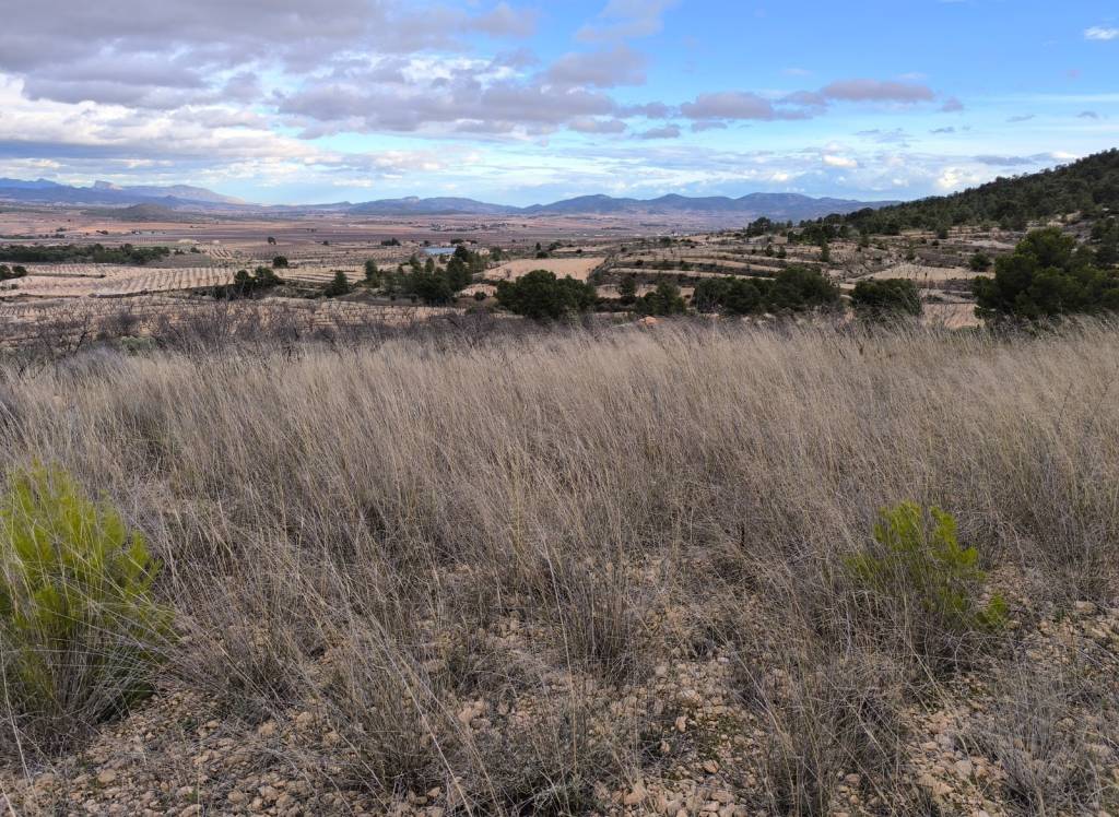 Resale - Land - Raspay - Rural location