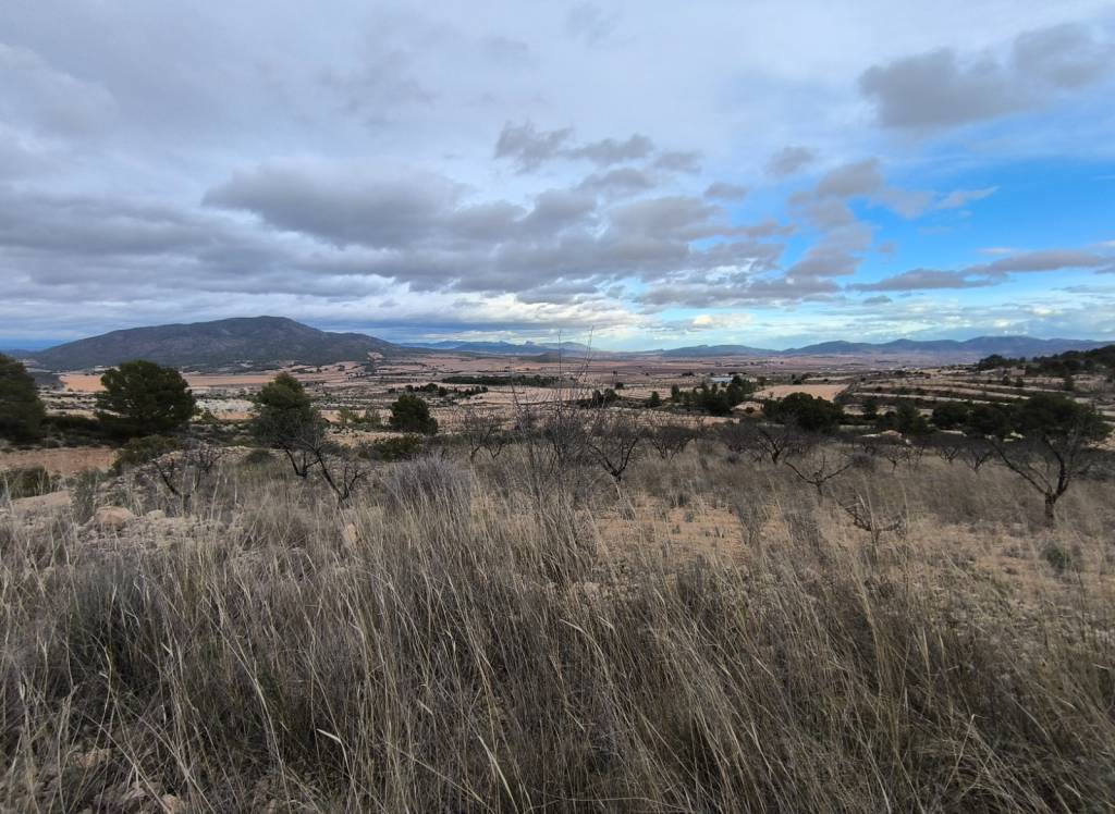 Resale - Land - Raspay - Rural location