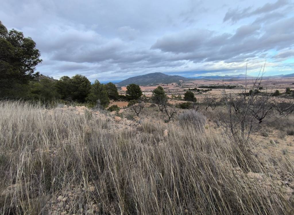 Resale - Land - Raspay - Rural location