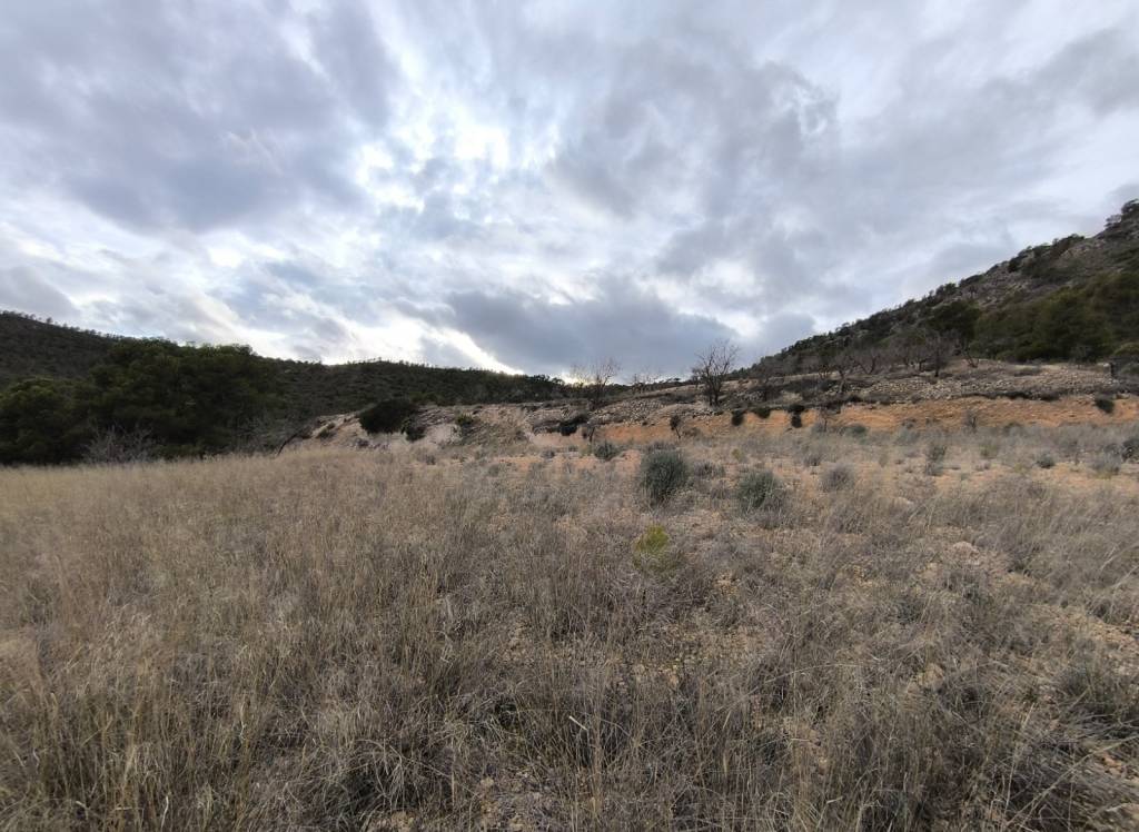 Resale - Land - Raspay - Rural location