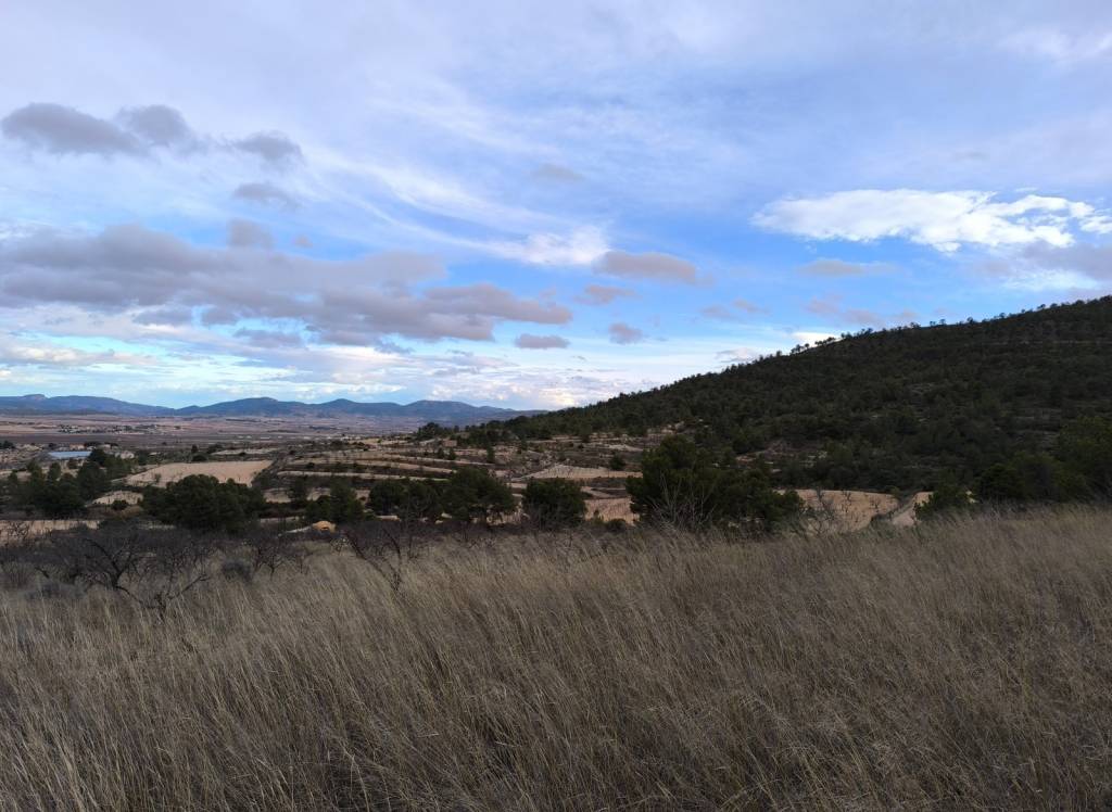 Resale - Land - Raspay - Rural location