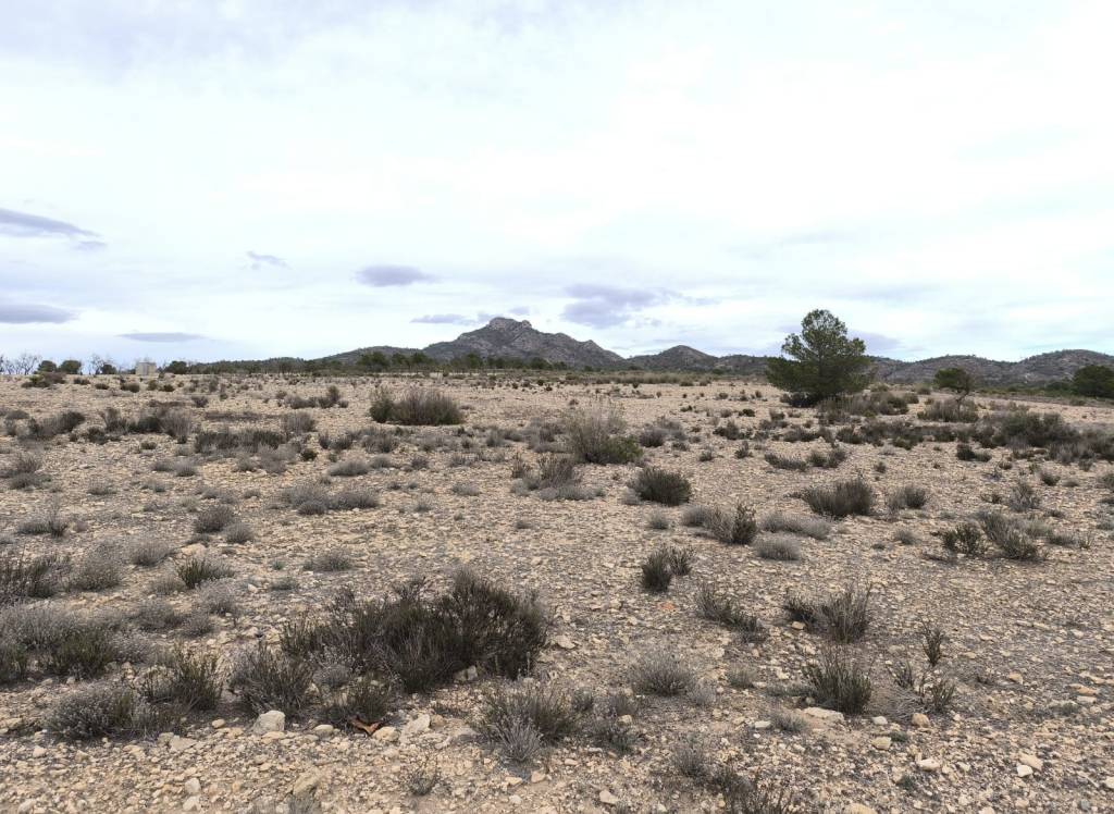 Resale - Land - Salinas - Rural location