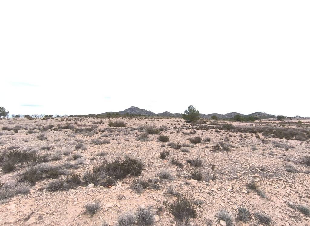 Resale - Land - Salinas - Rural location