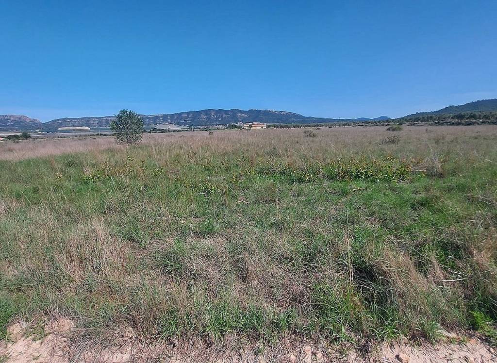 Resale - Land - Salinas