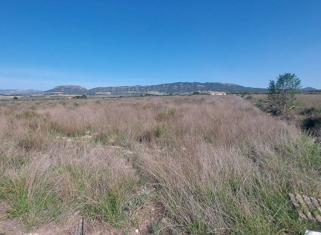 Resale - Land - Salinas