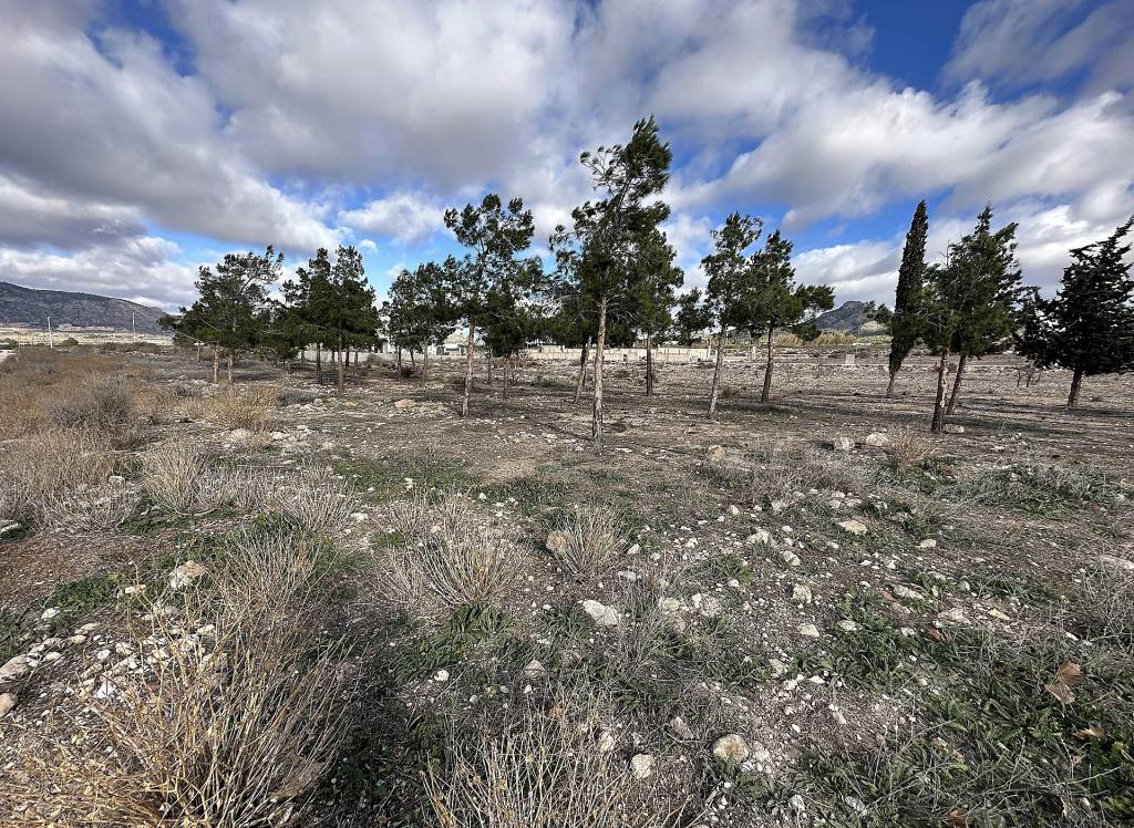 Resale - Land - Salinas