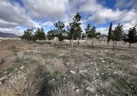 Resale - Land - Salinas