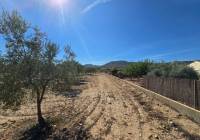 Resale - Land - Salinas