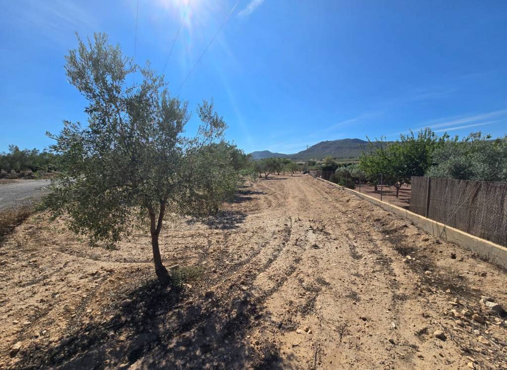 Resale - Land - Salinas