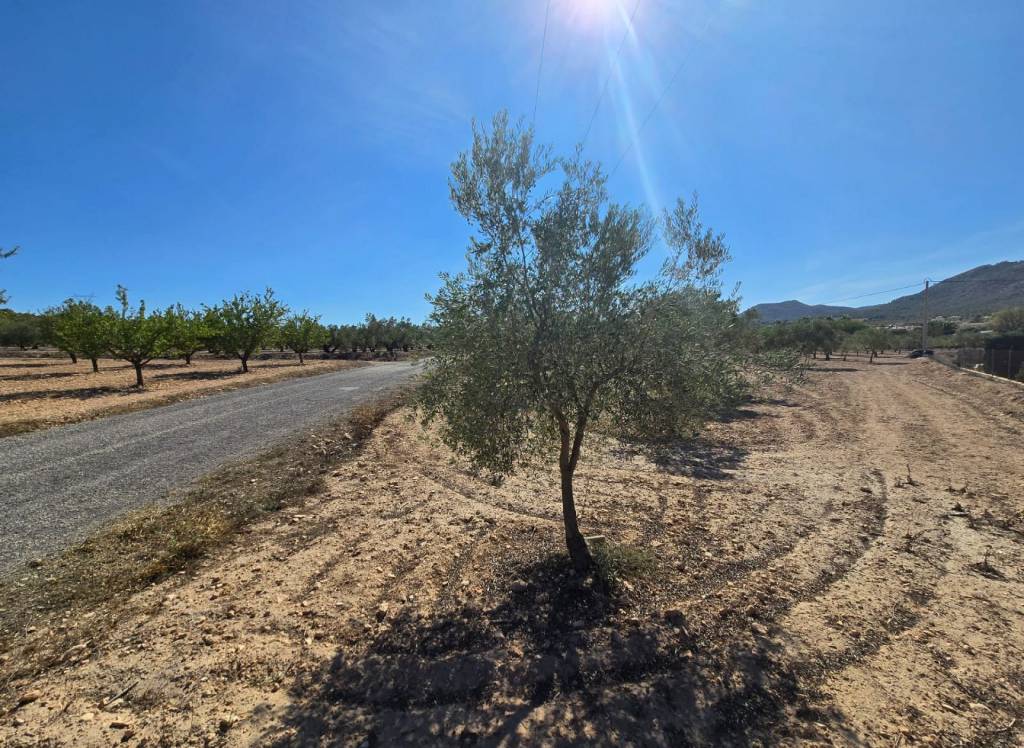 Resale - Land - Salinas