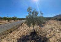 Resale - Land - Salinas