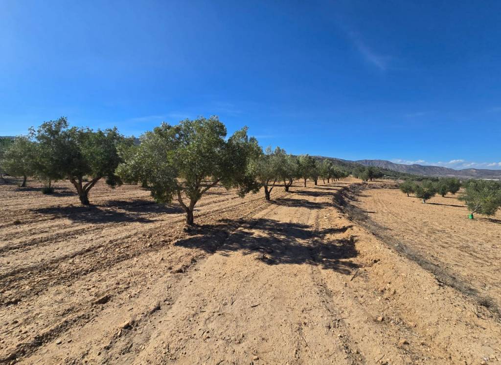 Resale - Land - Salinas