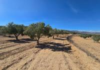 Resale - Land - Salinas