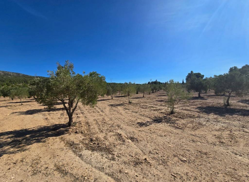 Resale - Land - Salinas