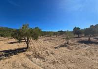 Resale - Land - Salinas