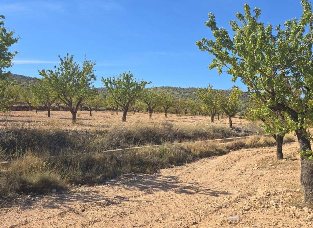 Resale - Land - Salinas