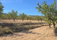 Resale - Land - Salinas