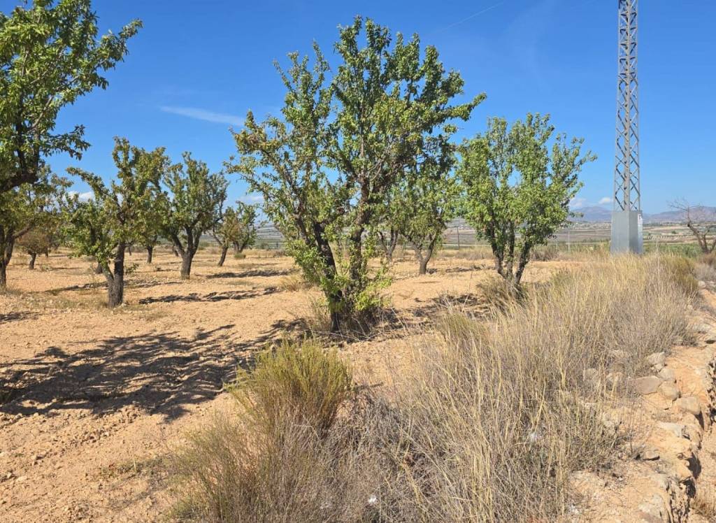 Resale - Land - Salinas