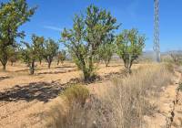 Resale - Land - Salinas