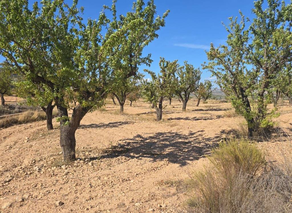 Resale - Land - Salinas