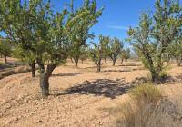 Resale - Land - Salinas