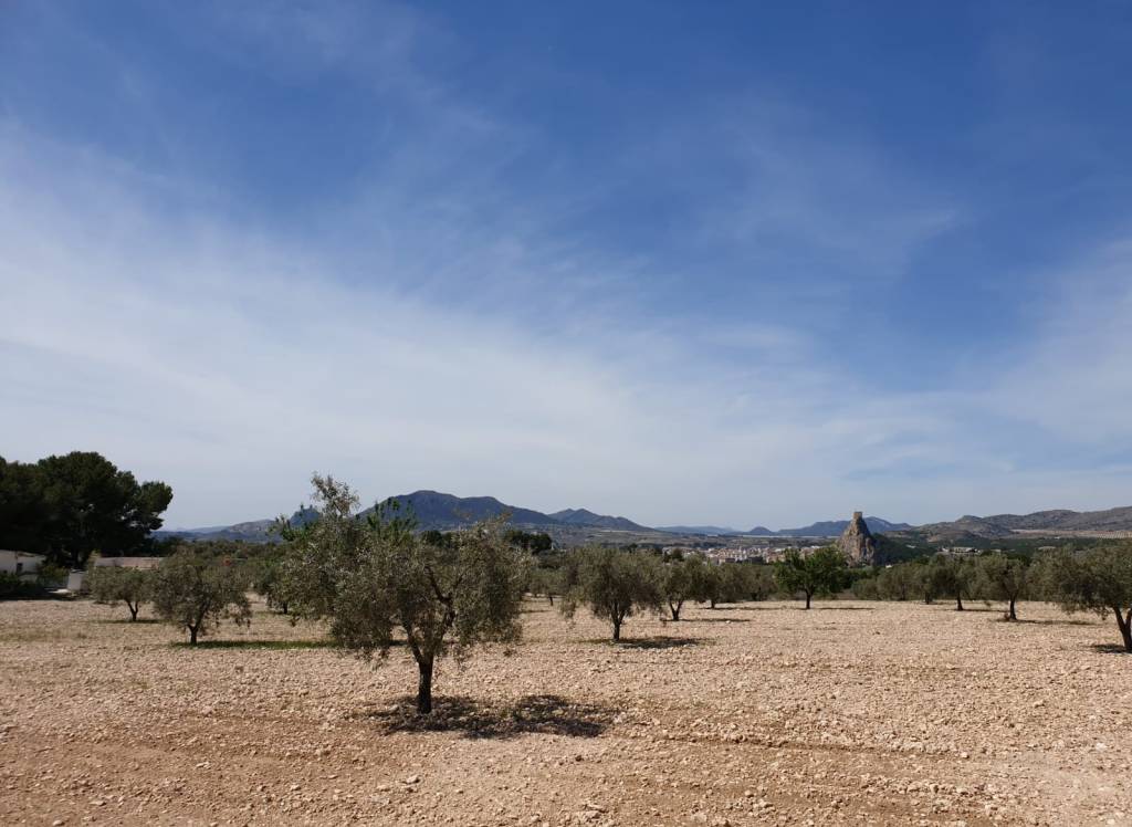 Resale - Land - Sax - Rural location