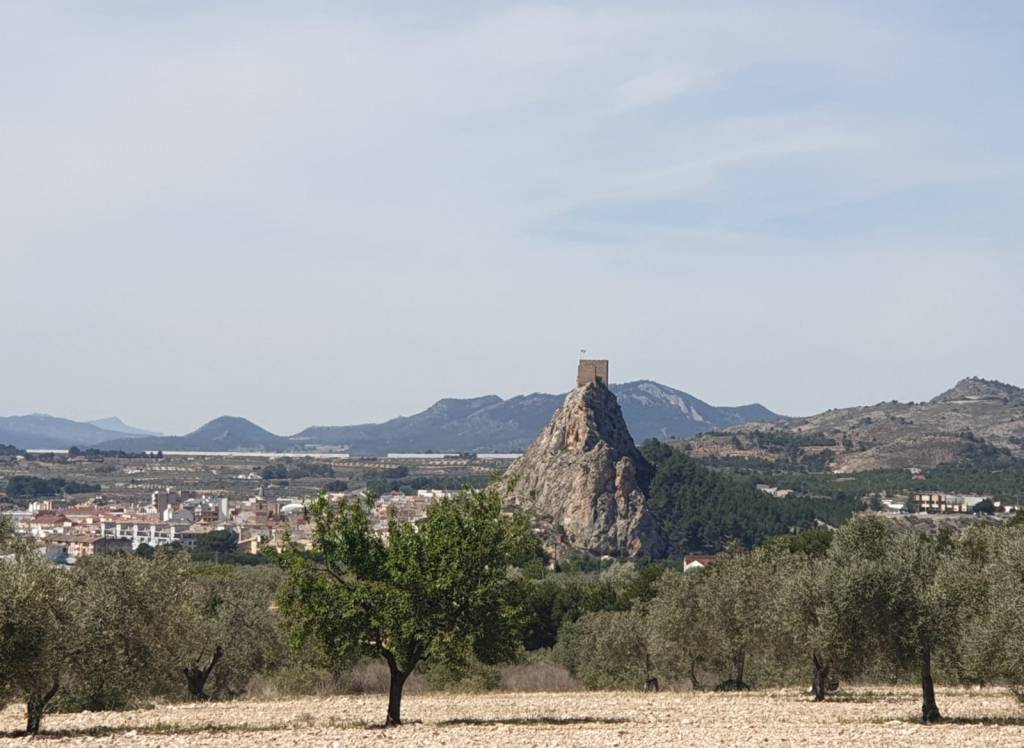 Resale - Land - Sax - Rural location