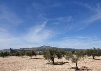 Resale - Land - Sax - Rural location