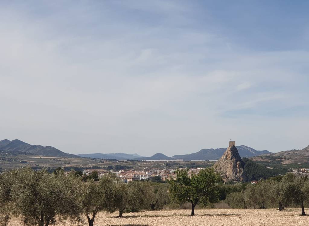 Resale - Land - Sax - Rural location